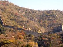 11-067 the overgrown great wall.jpg