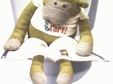 monkey on loo.jpg
