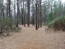 Hole 5.  Big hyzer over the fence on the left if you want to