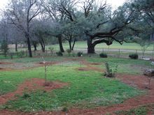 Orchard loop completed...  Closed loop / recirculating syste