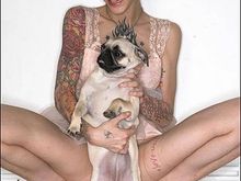 pug.jpg