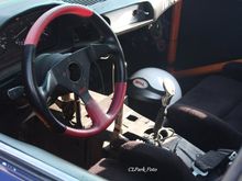 spgp sun 050.JPG