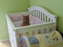Beemer in crib 8.JPG