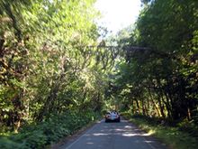 Q one lane road 3 x.jpg