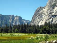 19 Yosemite.jpg
