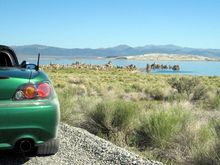 01 The car by Mono Lake.jpg