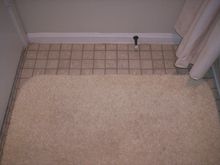 Toilet floor