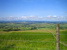 IMG_4053.jpg