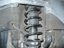 springs 004.jpg