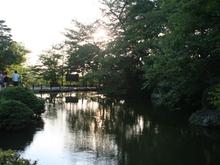IMG_1182 (Large).JPG