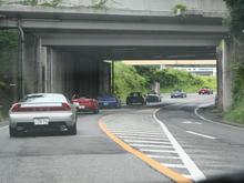 IMG_1693 (Large).JPG