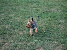 DSC_0229.jpg