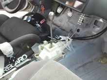 DSC_0100.jpg
