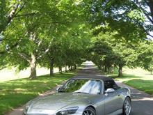 MG_8956q.JPG
