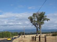 a IMG_0980.JPG