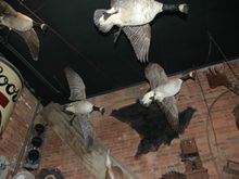 DSC_0122.JPG