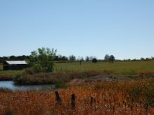 DSC_0176.JPG