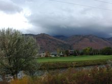 DSC_0231.JPG