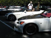 2 White Olephaunts.bmp