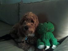 buster and froggy.jpg