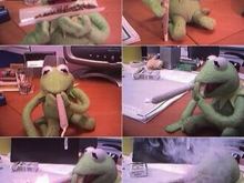 weedkermit2mn.jpg