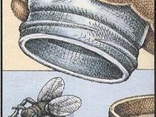fly03.gif