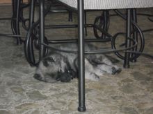 DSCN0400.JPG