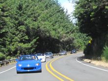 IMG_2445.JPG