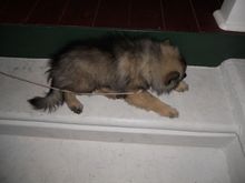 DSCN0462.JPG