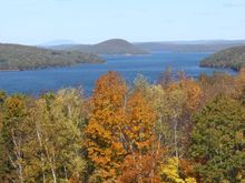 IMG_1165.jpg