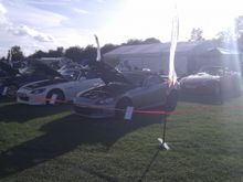 IMAG0227.jpg