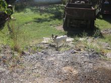IMG_2202.JPG