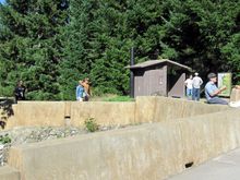 IMG_3439.JPG