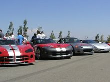 Big lineup.JPG