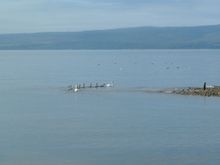 DSCF0070.JPG