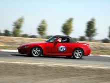 DSC_2336a.jpg