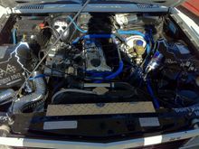 IMG_1537_resize.jpg
