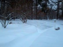 2011-01-27_07-24-06_696.jpg