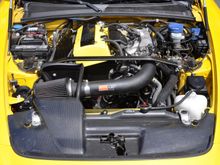 DSC_3995.JPG
