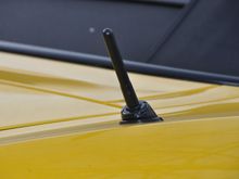 DSC_7260.JPG