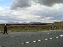 DSC00393.JPG