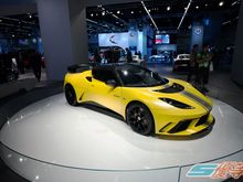 matteylotus