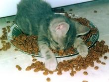 eatsleep.jpg
