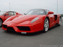 enzo3.jpg
