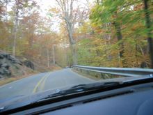 111-1181_IMG.JPG