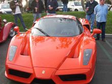 Enzo6.jpg