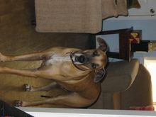 IMG_0822.JPG