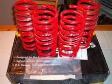 Neuspeed Springs 004.jpg