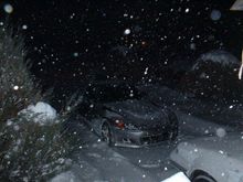 blizzard011304.jpg