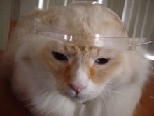 DSC03020.JPG